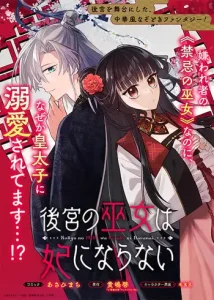 Koukyuu no Miko wa Kisaki ni Naranai